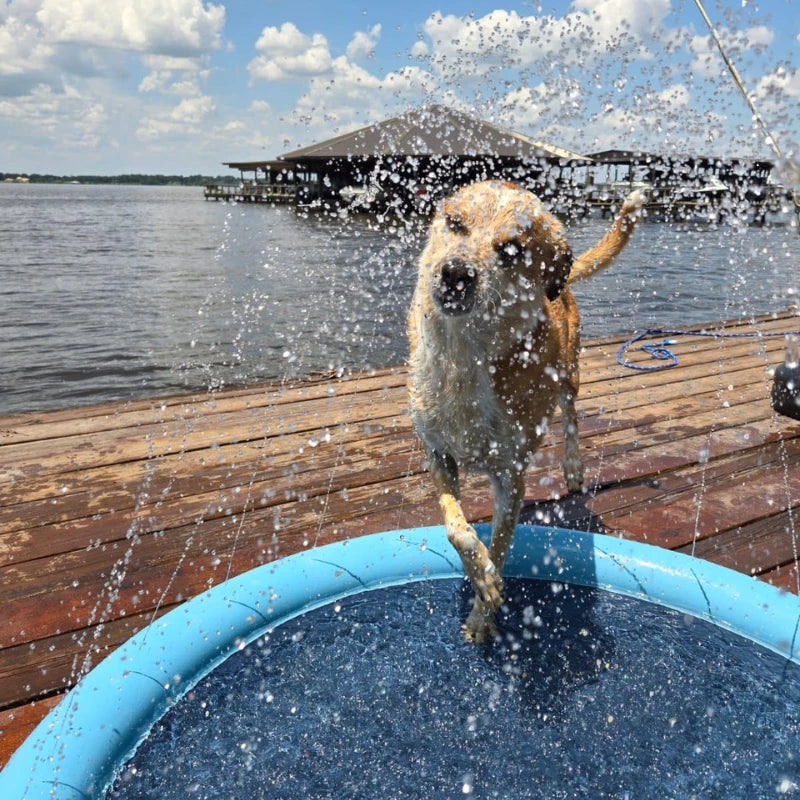 SplashPet - Piscina com Chafariz Interativa para Cachorros