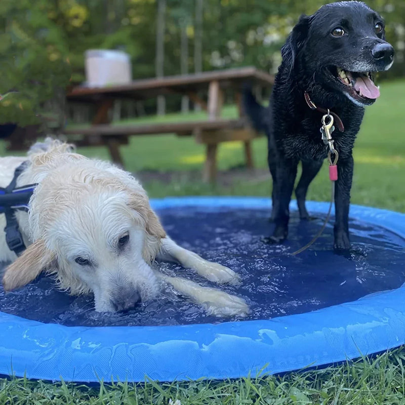 SplashPet - Piscina com Chafariz Interativa para Cachorros