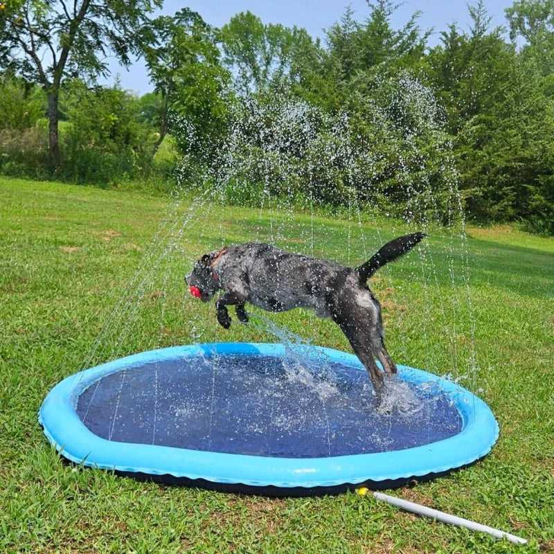 SplashPet - Piscina com Chafariz Interativa para Cachorros